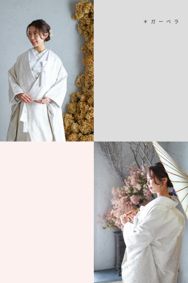 Bプラン 衣装ギャラリー