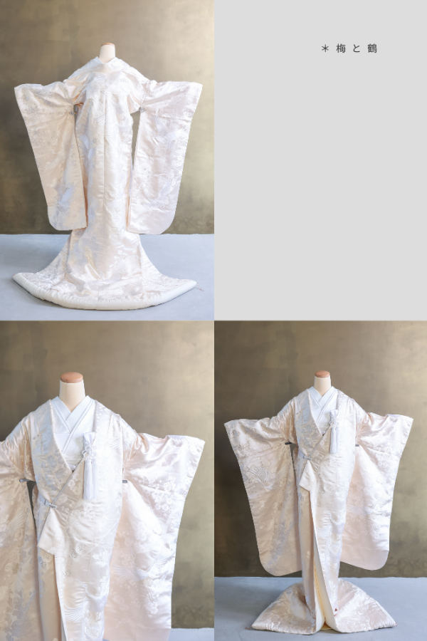 Nプラン 衣装ギャラリー